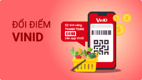 đổi ixu sang vinid