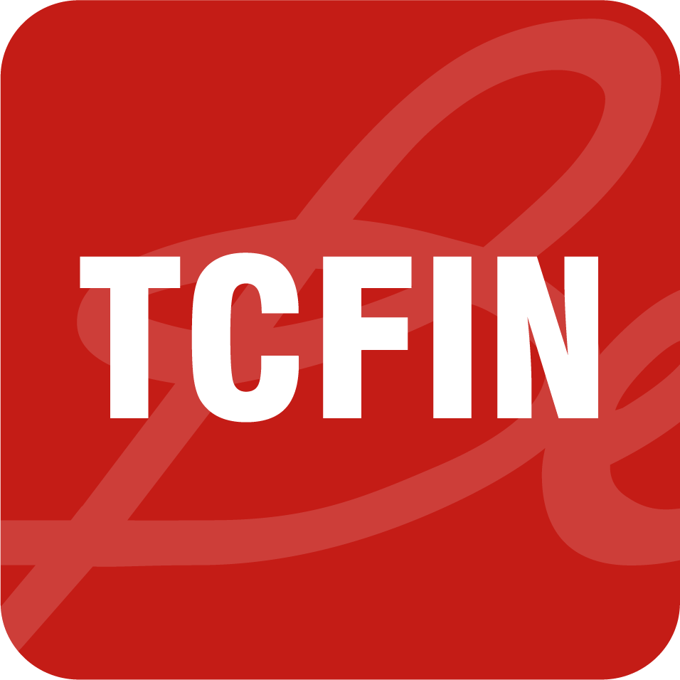 Quỹ Đầu tư Cổ phiếu Ngân hàng và Tài chính Techcom (TCFIN)